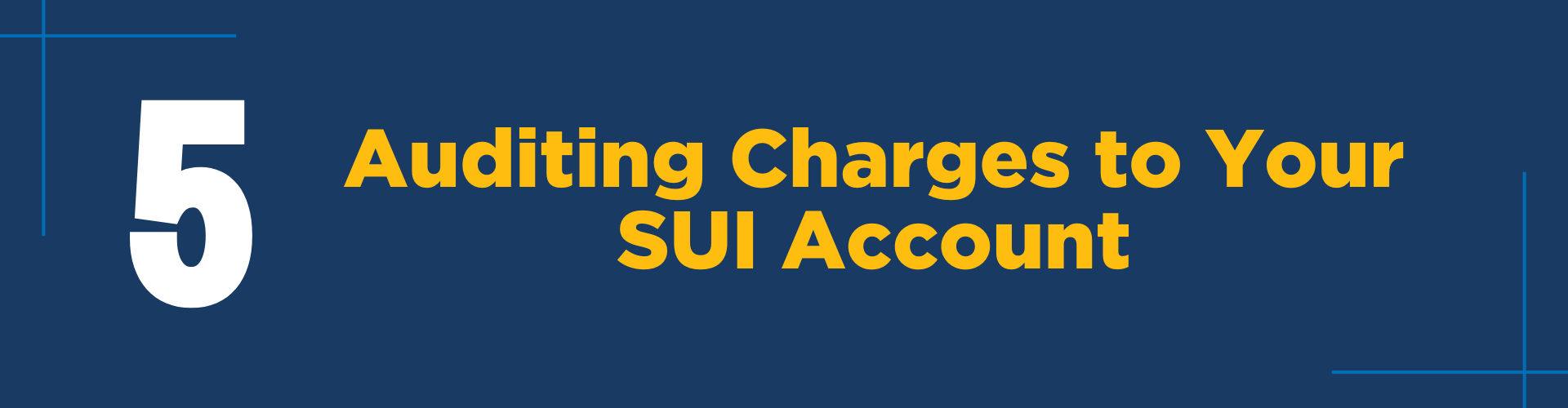 #5: Auditing Charges to Your SUI Account