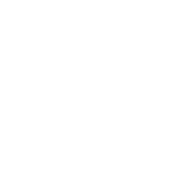 SHIELD icon