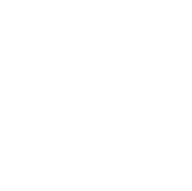 SHIELD icon